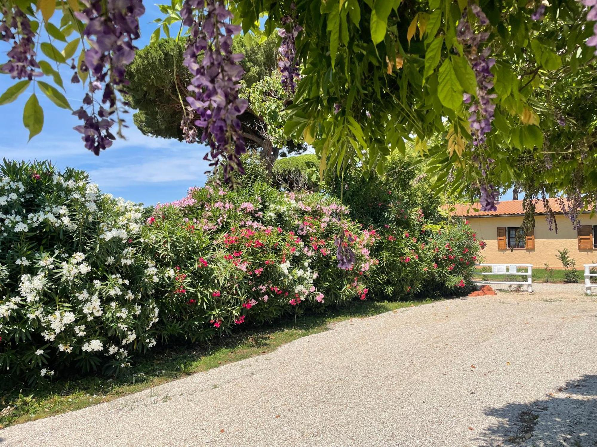 Agriturismo La Valle - By Podere Arundineto 卡斯塔涅托卡尔杜奇 外观 照片