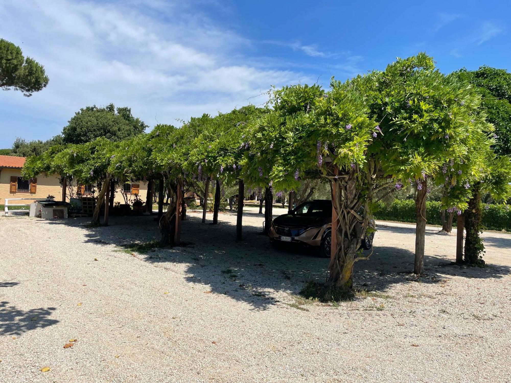 Agriturismo La Valle - By Podere Arundineto 卡斯塔涅托卡尔杜奇 外观 照片