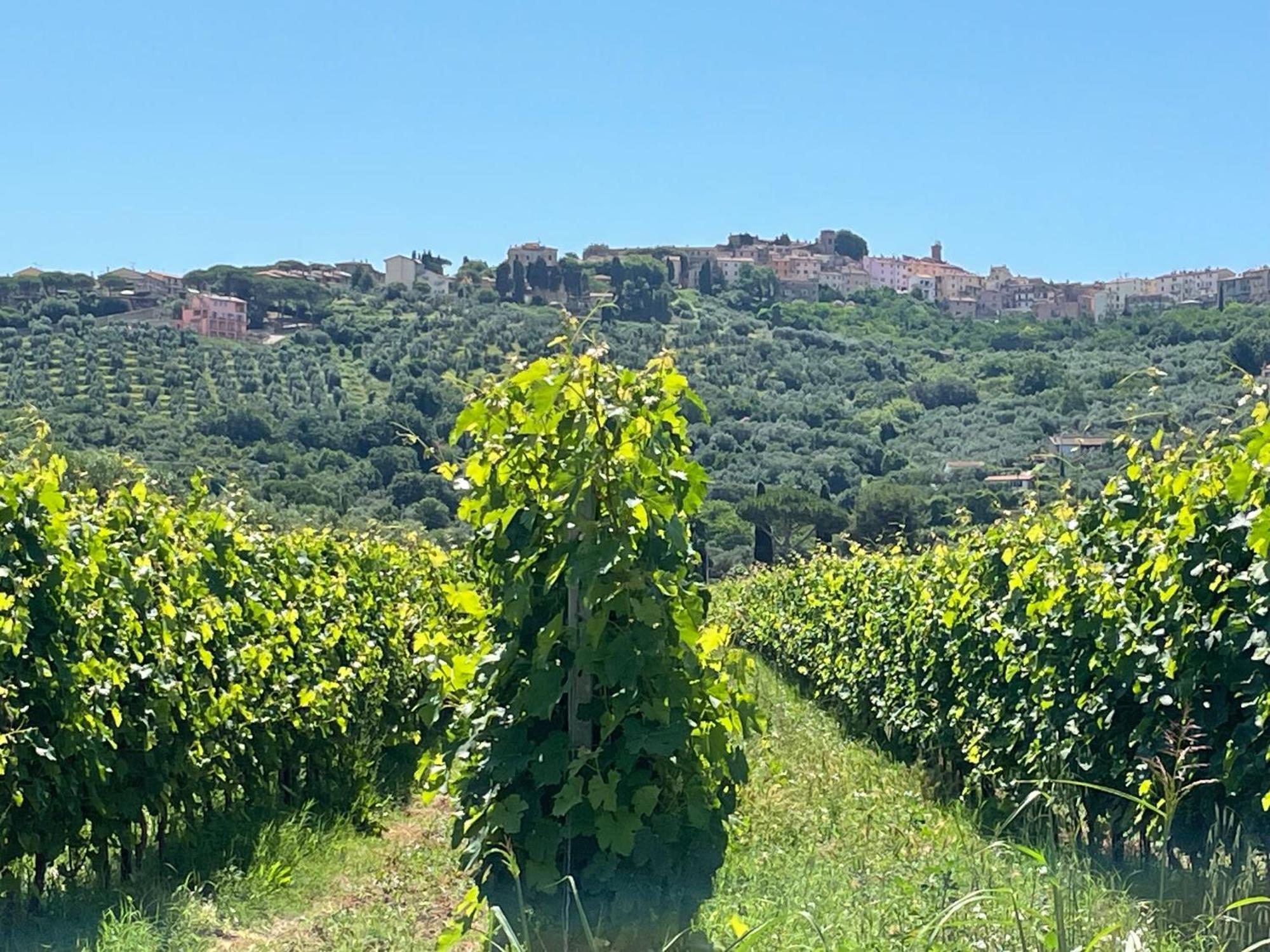 Agriturismo La Valle - By Podere Arundineto 卡斯塔涅托卡尔杜奇 外观 照片